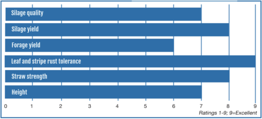 A bar graph showing the key attributes of Merlin Max triticale.
